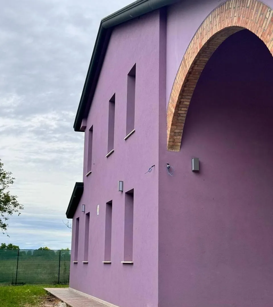 Lavender Apartments Near Venice Airport Favaro Veneto Italy