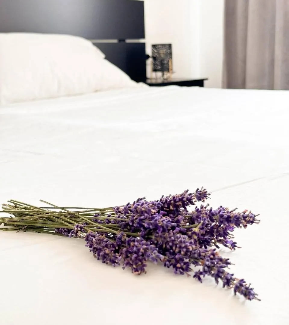 Lavender Apartments Near Venice Airport Favaro Veneto